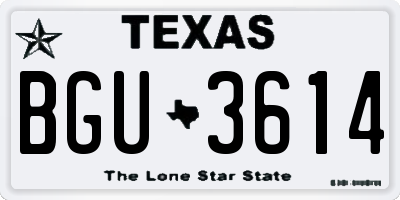 TX license plate BGU3614
