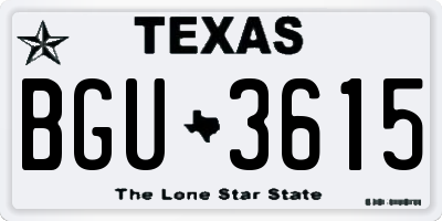 TX license plate BGU3615