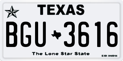 TX license plate BGU3616