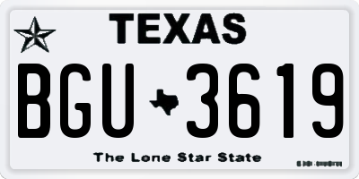 TX license plate BGU3619