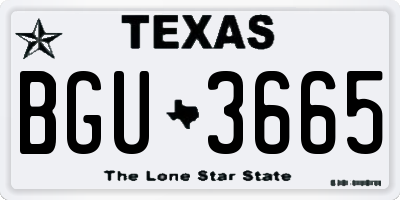 TX license plate BGU3665