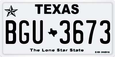 TX license plate BGU3673
