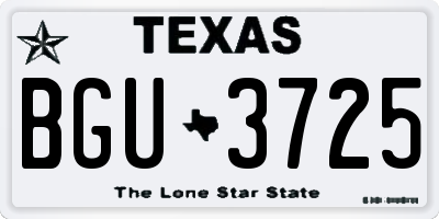 TX license plate BGU3725