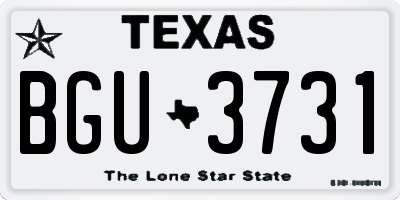 TX license plate BGU3731