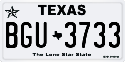 TX license plate BGU3733