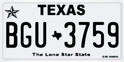 TX license plate BGU3759