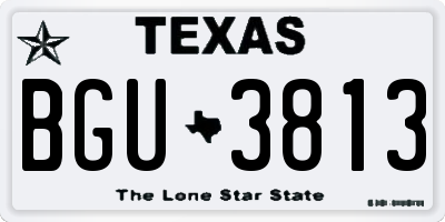TX license plate BGU3813