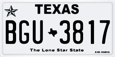 TX license plate BGU3817