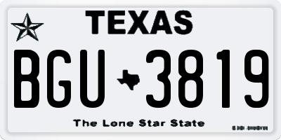 TX license plate BGU3819