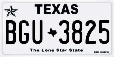 TX license plate BGU3825