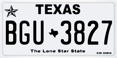 TX license plate BGU3827