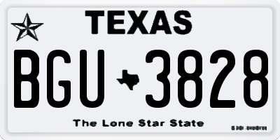 TX license plate BGU3828