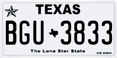 TX license plate BGU3833