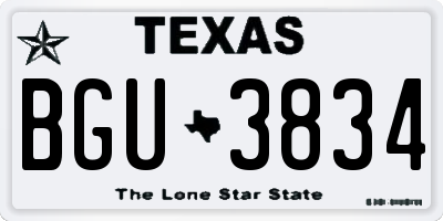 TX license plate BGU3834