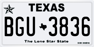 TX license plate BGU3836