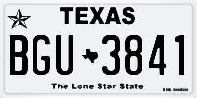 TX license plate BGU3841