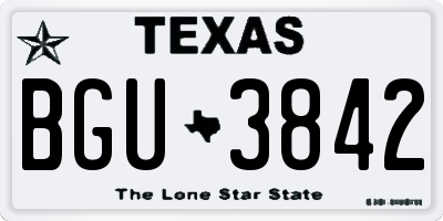 TX license plate BGU3842