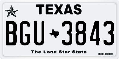 TX license plate BGU3843
