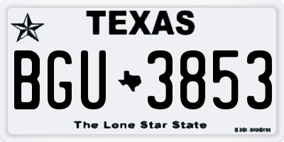 TX license plate BGU3853