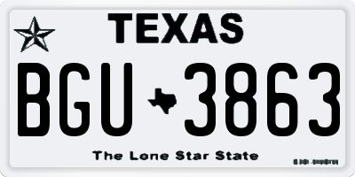 TX license plate BGU3863