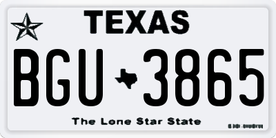 TX license plate BGU3865