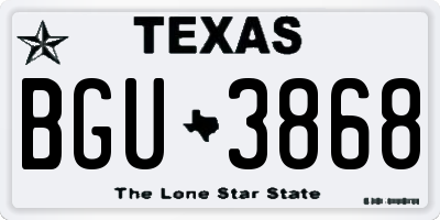 TX license plate BGU3868