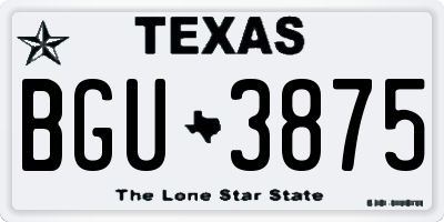 TX license plate BGU3875