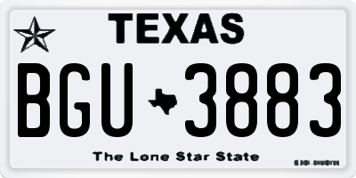 TX license plate BGU3883
