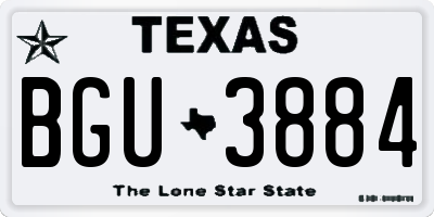TX license plate BGU3884