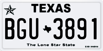 TX license plate BGU3891