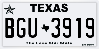 TX license plate BGU3919