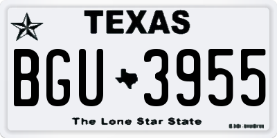 TX license plate BGU3955