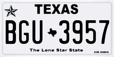 TX license plate BGU3957