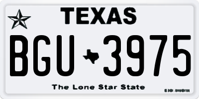 TX license plate BGU3975
