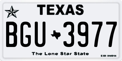 TX license plate BGU3977