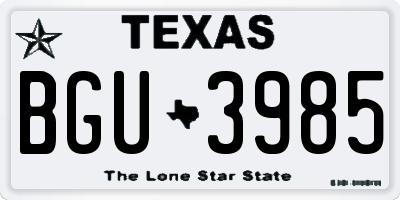 TX license plate BGU3985