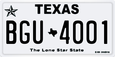 TX license plate BGU4001