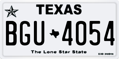 TX license plate BGU4054