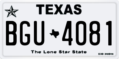 TX license plate BGU4081