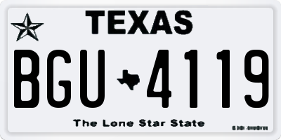 TX license plate BGU4119