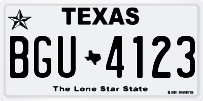 TX license plate BGU4123