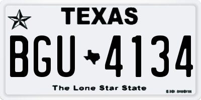 TX license plate BGU4134