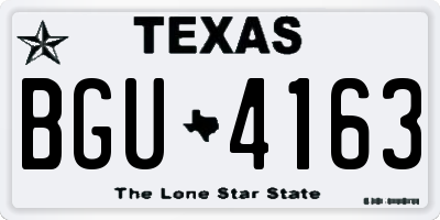 TX license plate BGU4163