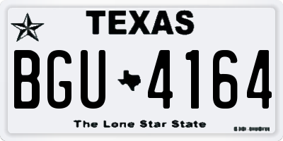 TX license plate BGU4164