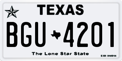 TX license plate BGU4201