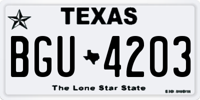 TX license plate BGU4203