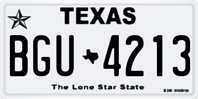 TX license plate BGU4213