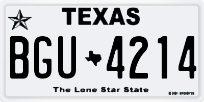 TX license plate BGU4214