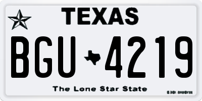 TX license plate BGU4219