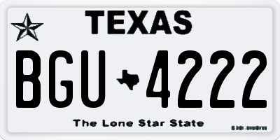 TX license plate BGU4222